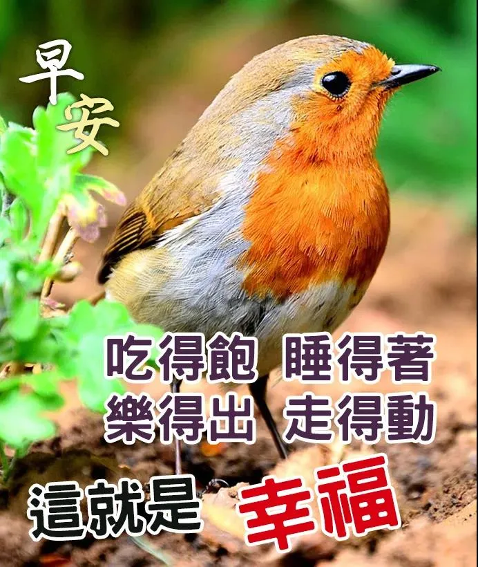 心里若是充满阳光，哪里都是晴天，早安