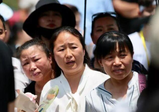 2021高考报考指南：“学校”和“专业”怎么选？郑强教授给你答案