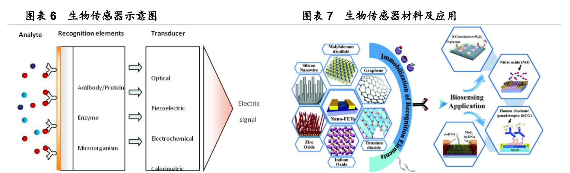 三诺生物招聘（行业深度）