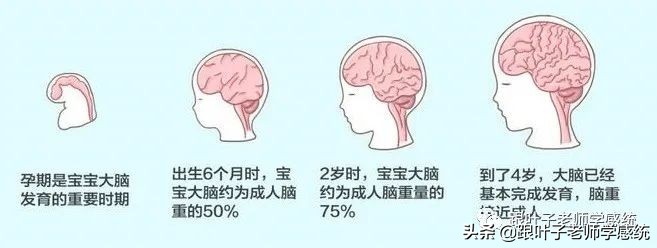 儿童感觉统合能力发育的几个阶段，家长一定要抓住第三个