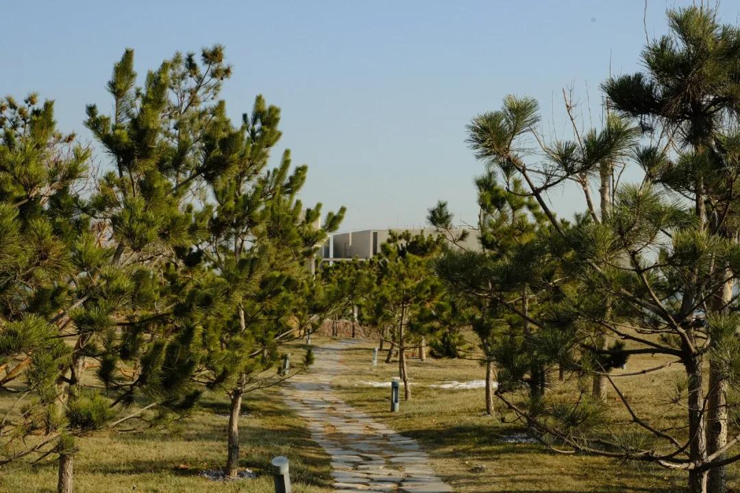 我从海边回来了，淡季的阿那亚就三个字：值得去