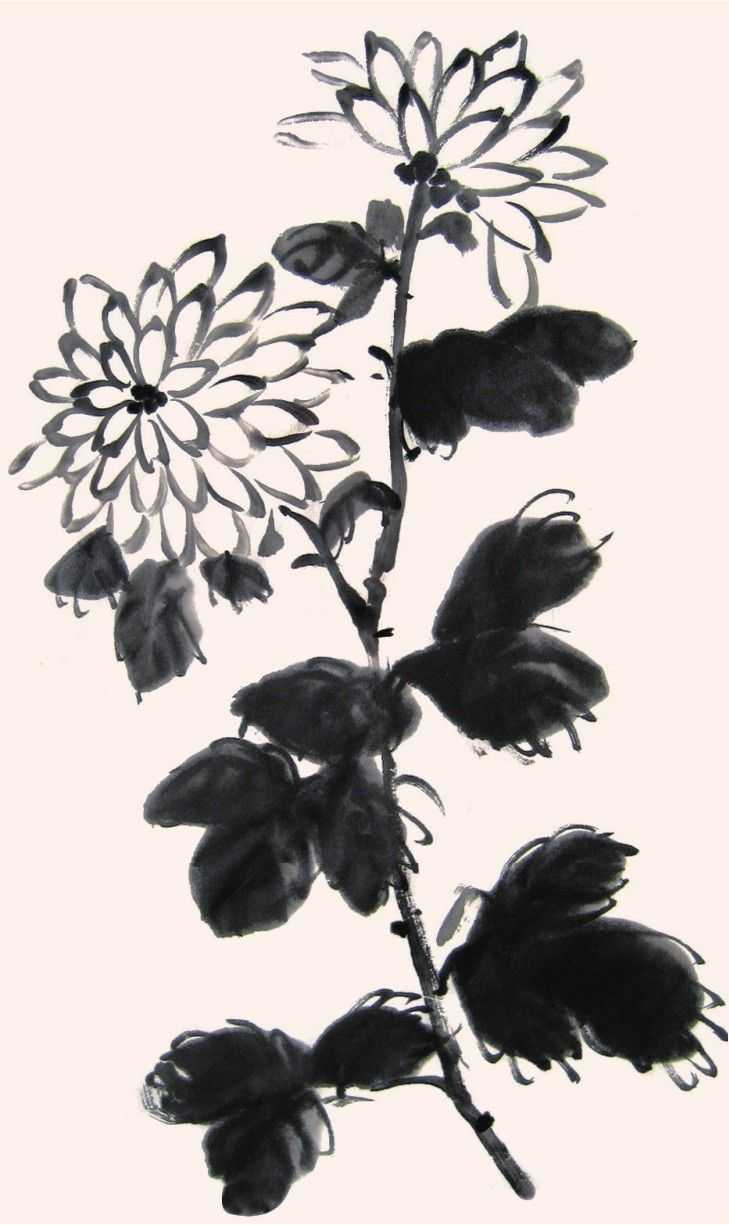 零基础国画教程:分步骤教你5种菊花设色画法,简单易学,收藏