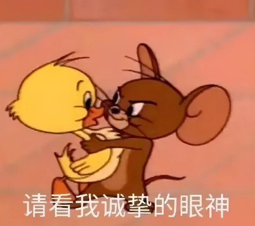 火爆ins小紅書，明星博主曬照打卡的神仙家具品牌，替你扒來了