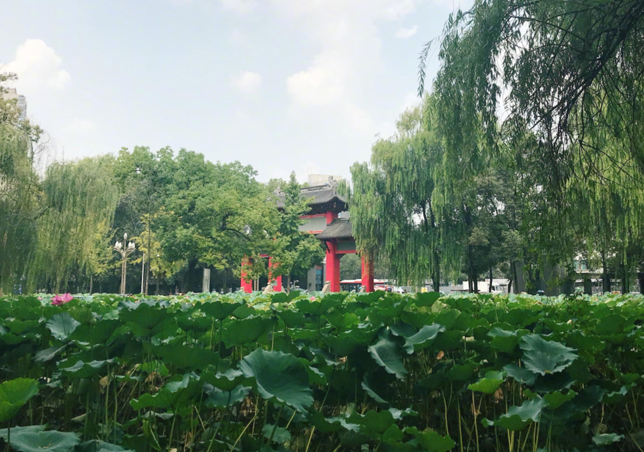 国内“环境”排名前十的大学，厦门大学斩获第一，浙江大学垫底