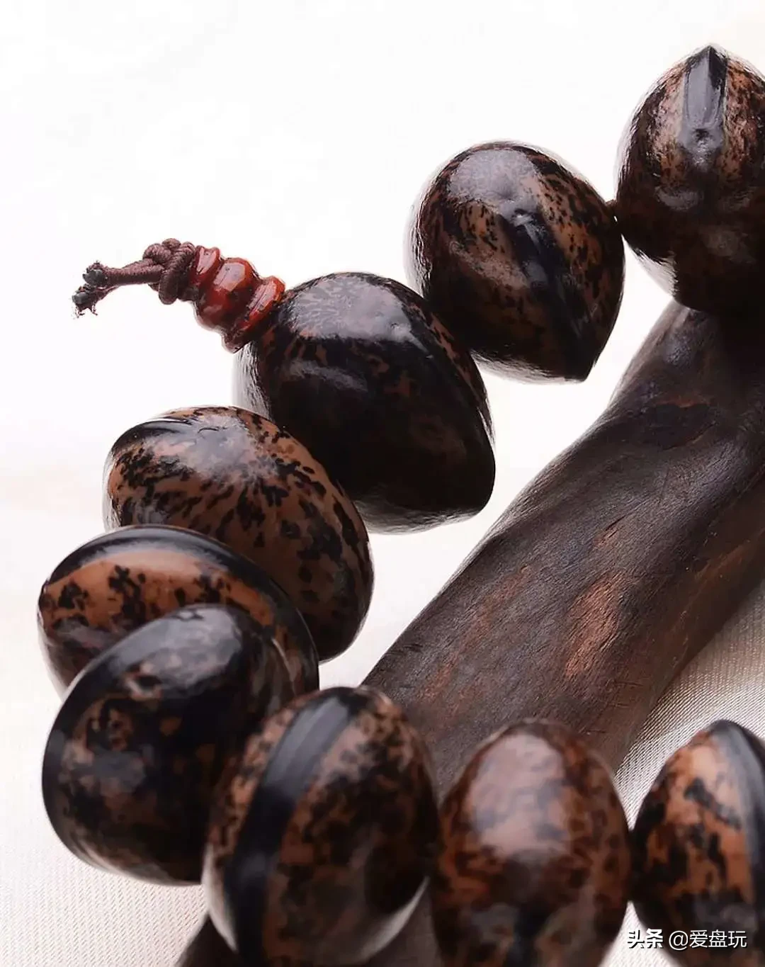 这张菩提子家谱,囊括30种,很少能有人认全