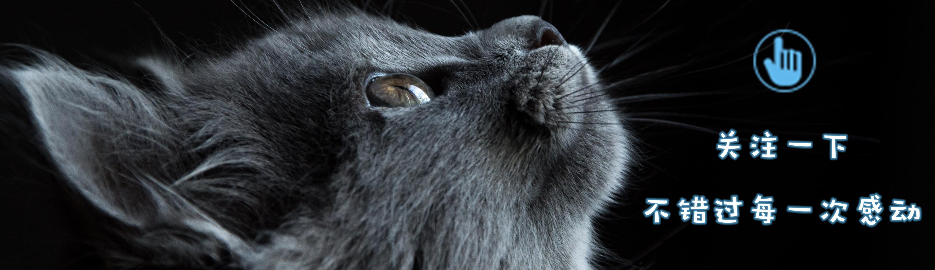 高考学校分数线（部分省份高考分数线出炉）