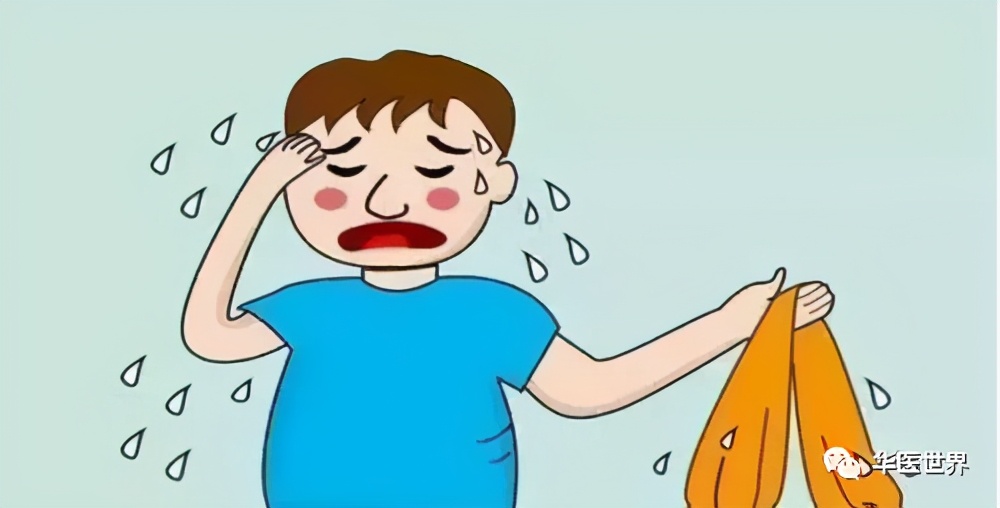 陈明教授：活用《伤寒》五苓散