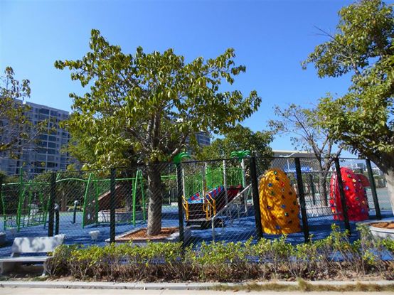 五缘实验 | 厦门第一所教育局直属九年一贯制公校！