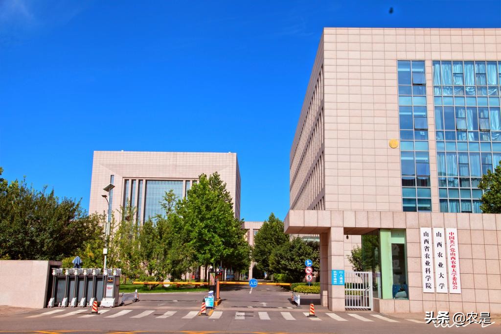 张建新，山西农业大学动物科学学院教授，博导，牛羊饲料专家