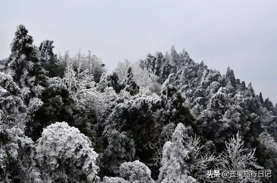 南岳衡山旅游网(距离广州仅两小时高铁，就有个绝美雾凇地，它就是湖南南岳衡山)