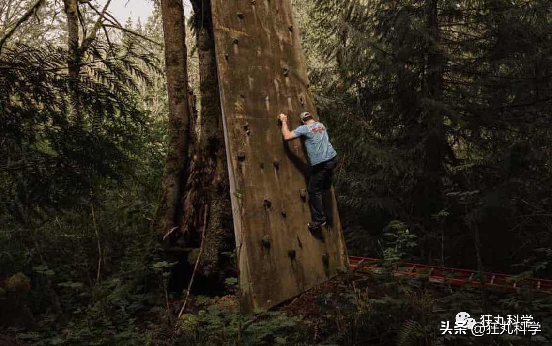 杨永信倒了？别高兴的太早，还会有下一个网戒中心