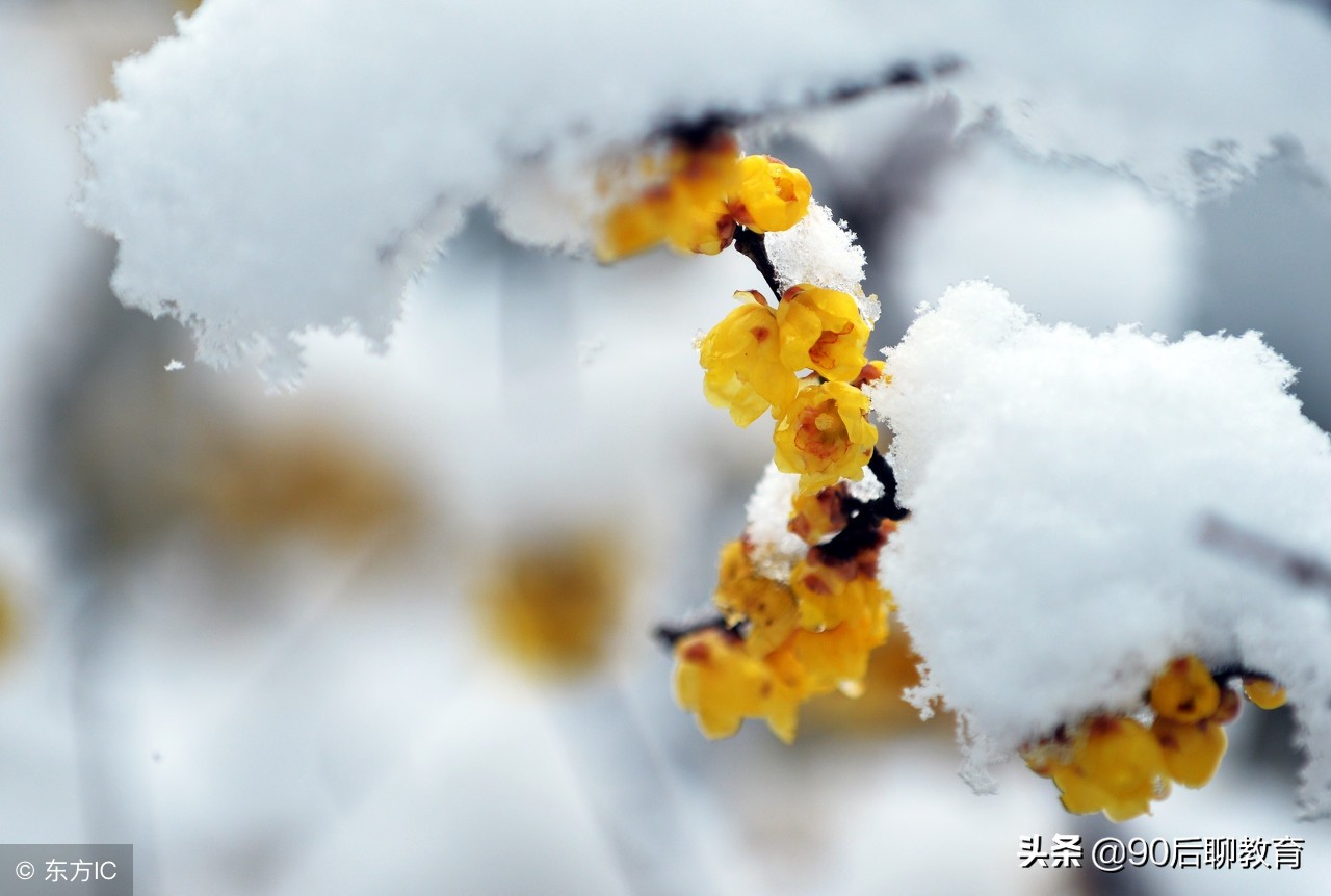 描写下雪、下雨、春节的好词、好句、好段锦集！