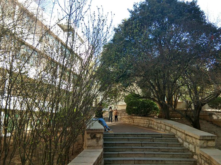 梦想花开，走进山东财经大学的春天！