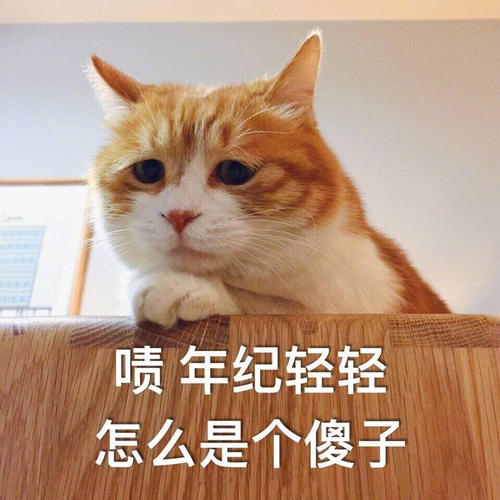 可能很多人会嗤之以鼻,觉得猫咪又不傻,它怎么会跳下去呢?