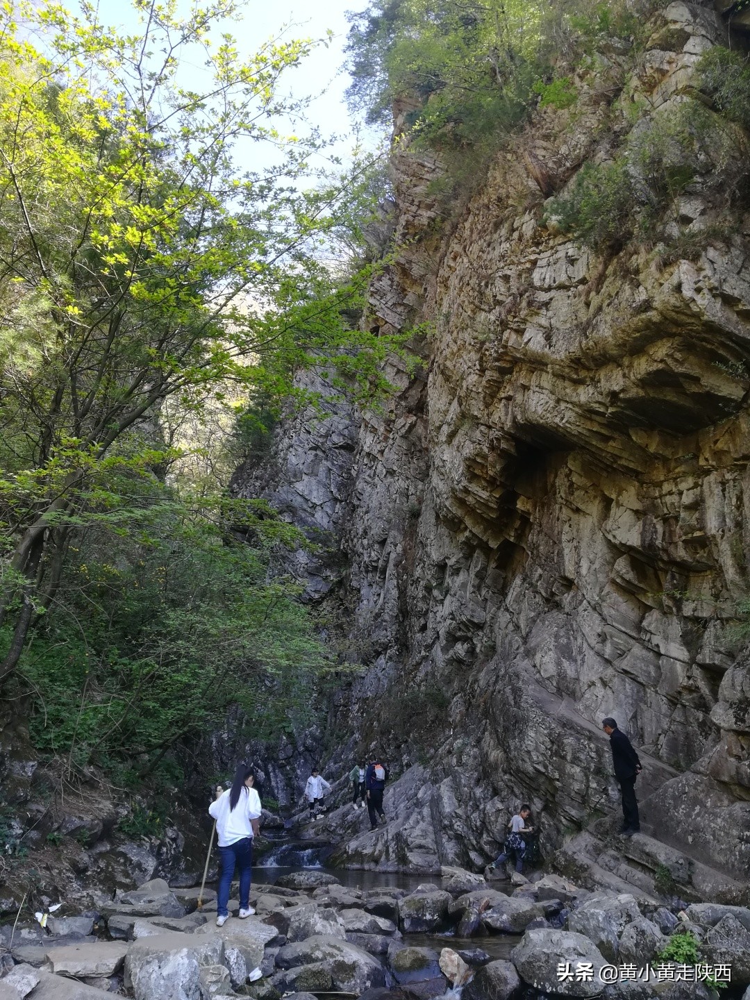 探秘东秦岭，原来从西安到商洛还有这样一条密道，一路都是风景