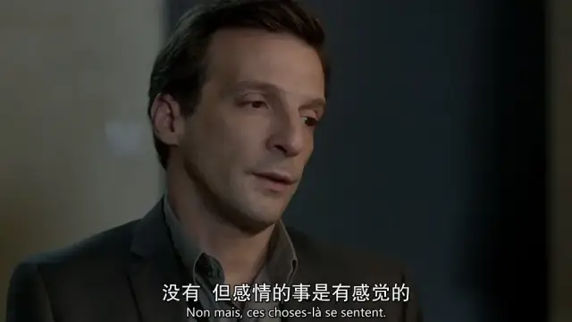 Douban 9.5，最好的法国间谍戏剧！
