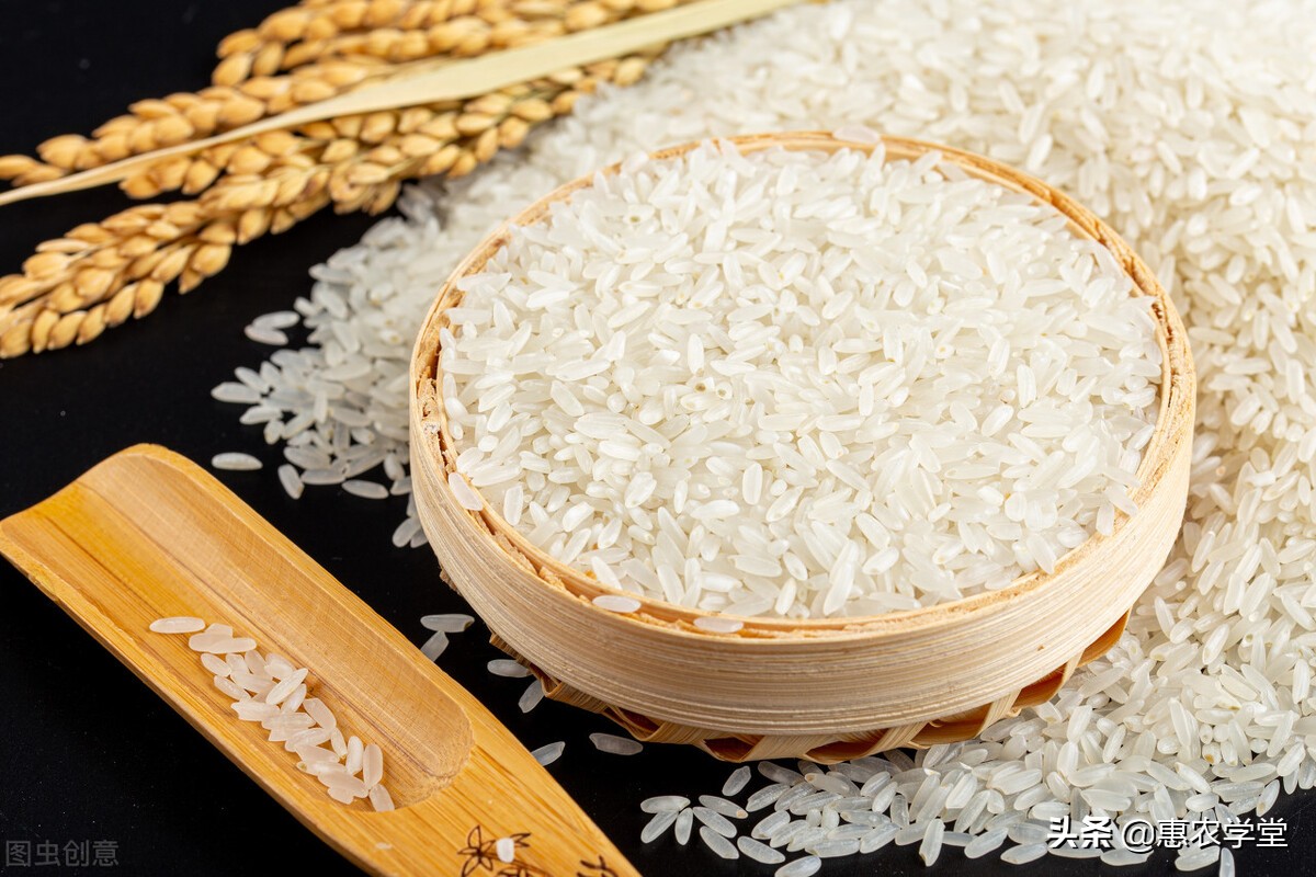 现在大米多少钱一斤？价格为何上涨？2021年11月大米行情走势预测