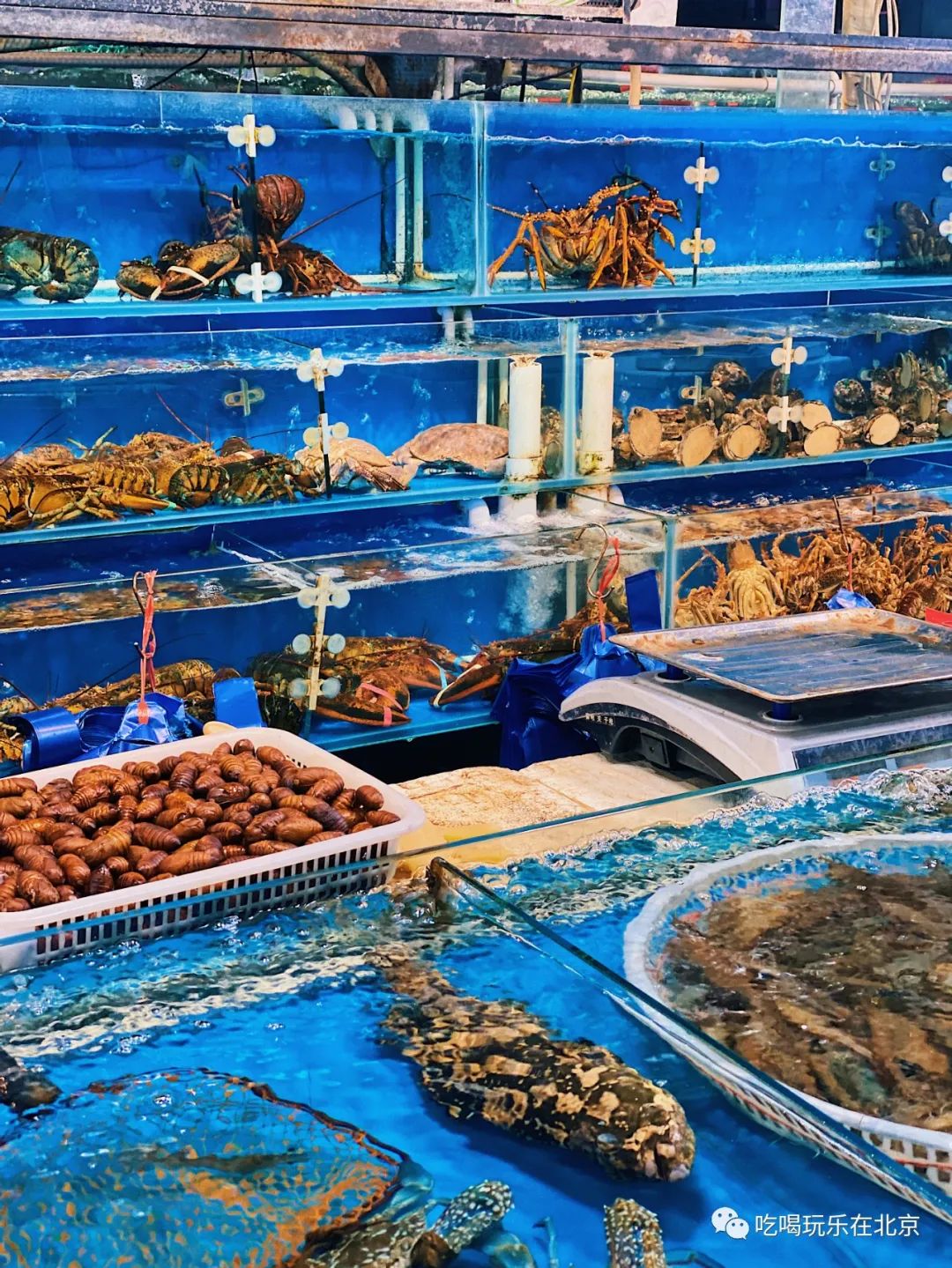 王四营海鲜市场今日价格「王四营海鲜市场营业时间」