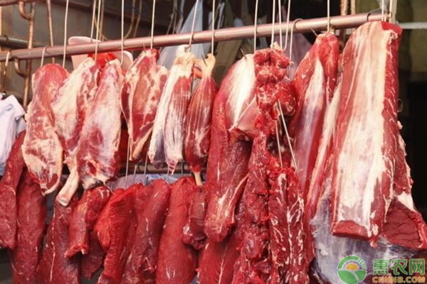 今日山阳猪肉价格，猪肉价格今日价走势全国