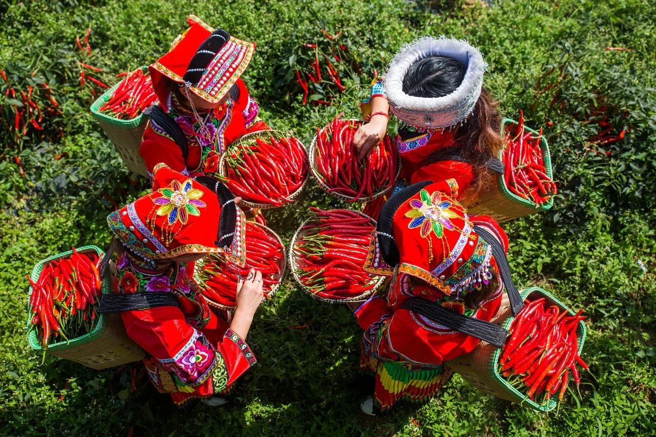 夏天不去吃一趟贵州，是吃货们最大的损失
