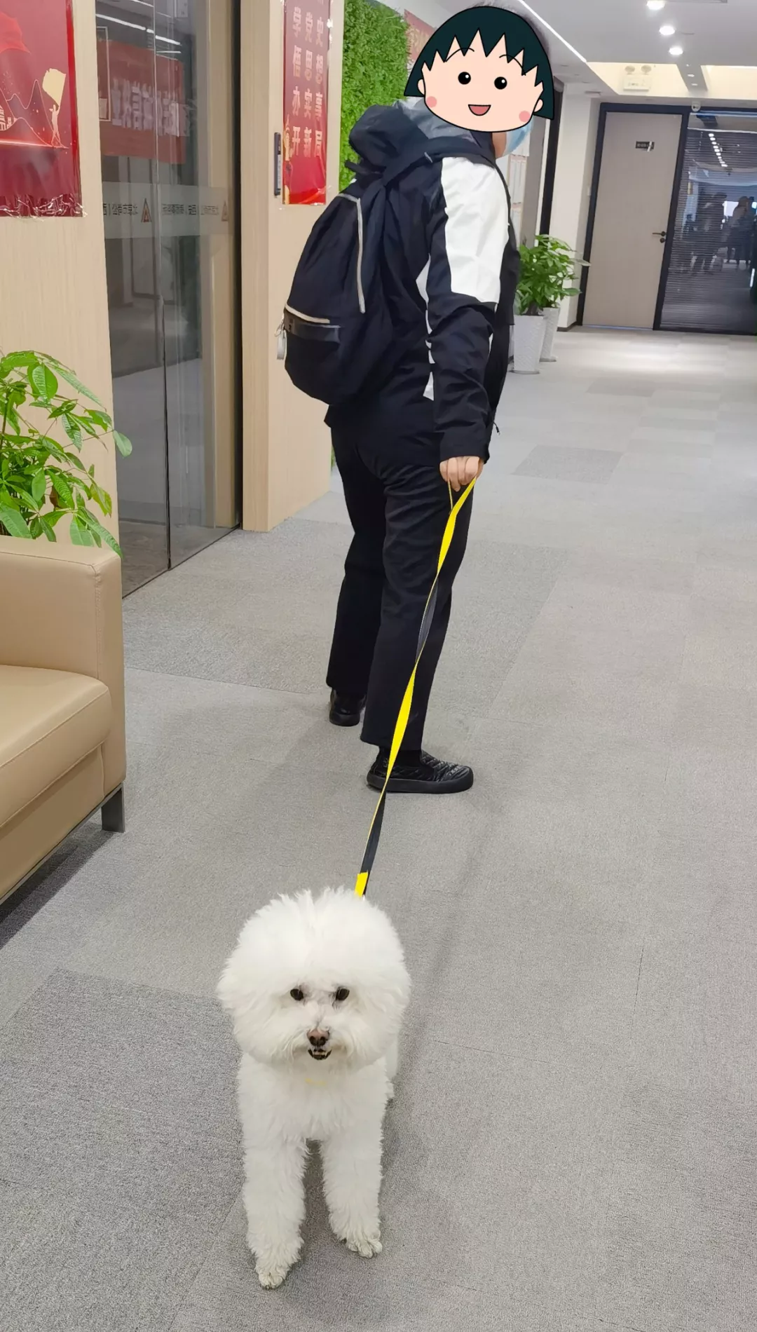 蛋卷儿都离婚了，我却还在单身……