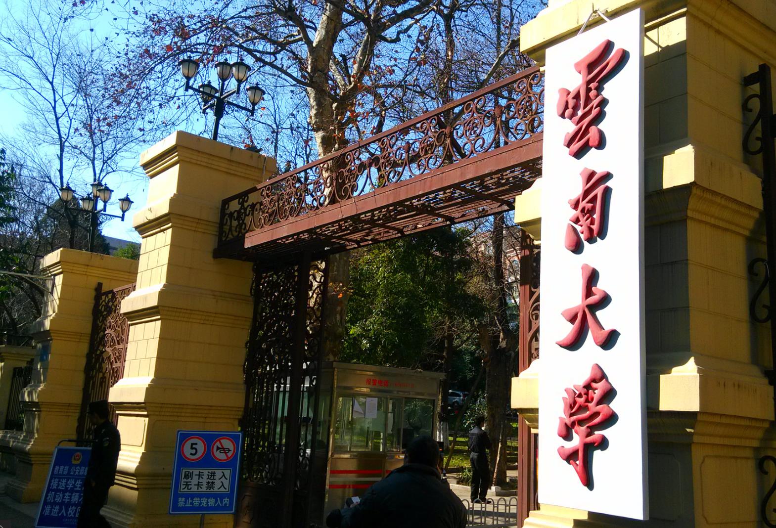 云南综合类高校排名，这三所大学投档分在540以上，云大第一