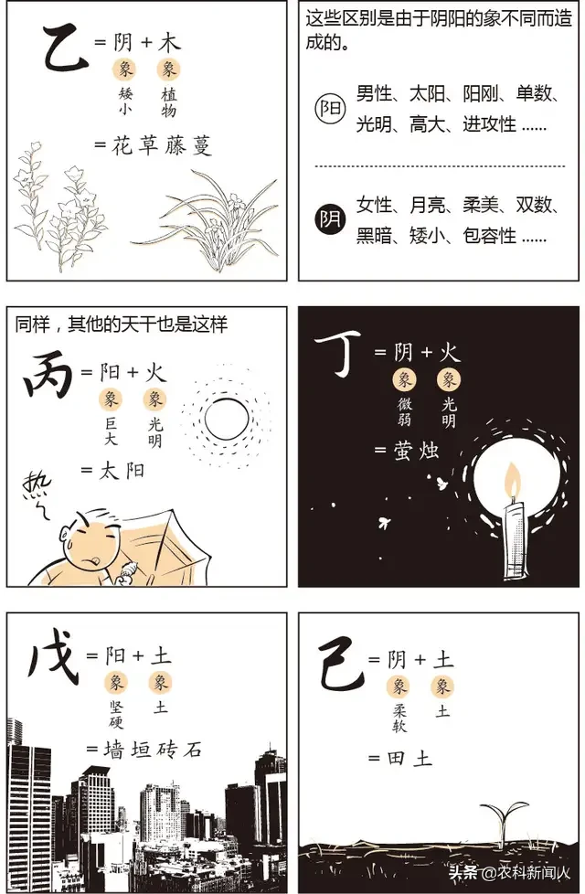 漫画易经命理基础知识三，天干地支