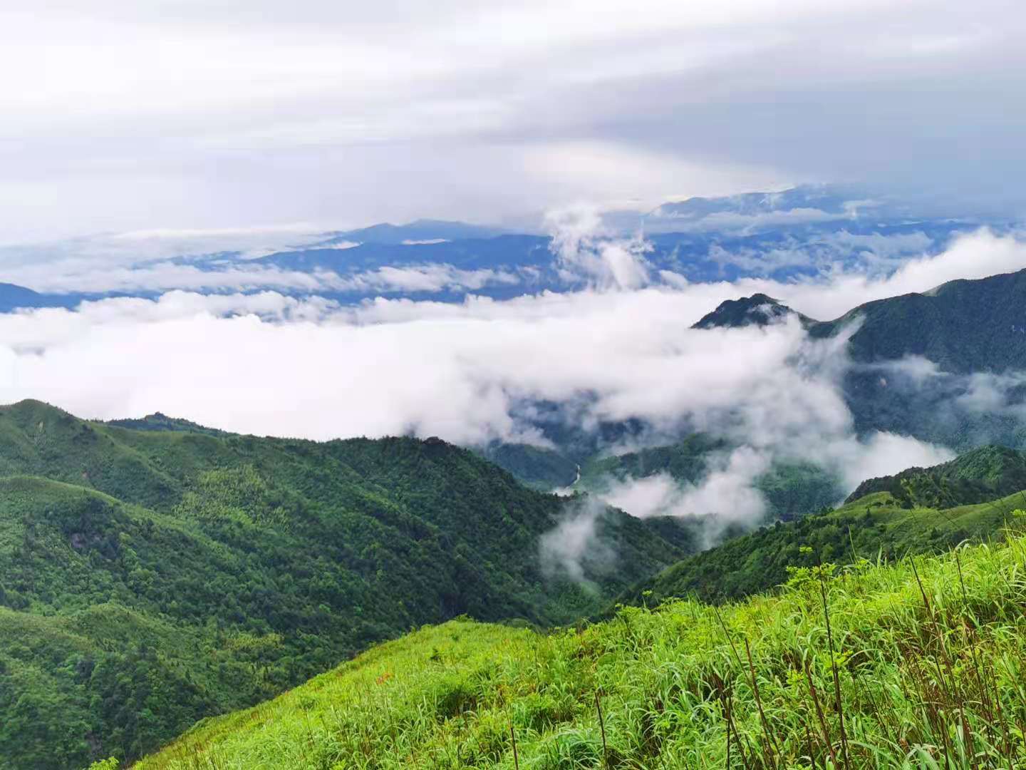 武功山海拔多少米(爱恨武功山，一生一定要去一次的徒步天堂)