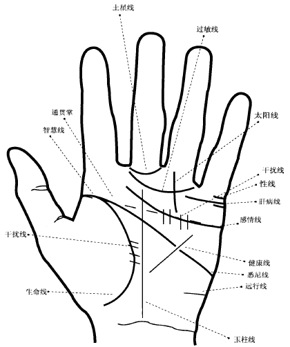 手掌中密密麻麻都是细纹称为干扰线也叫障碍线，反映近期身体状况