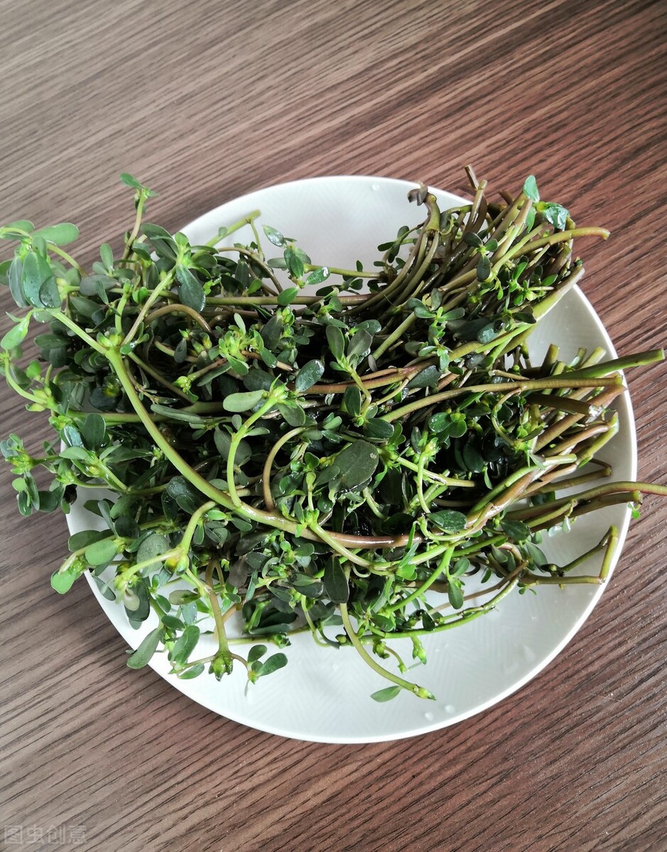 馬齒莧提取物,馬齒莧提取物對皮膚的作用