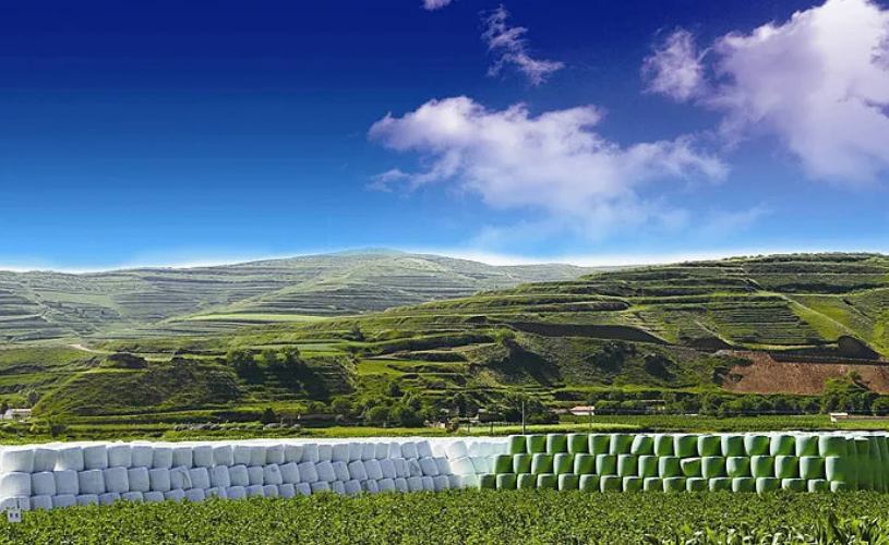 坐拥全球前1‰的学科，培养了22位院士，兰州大学的