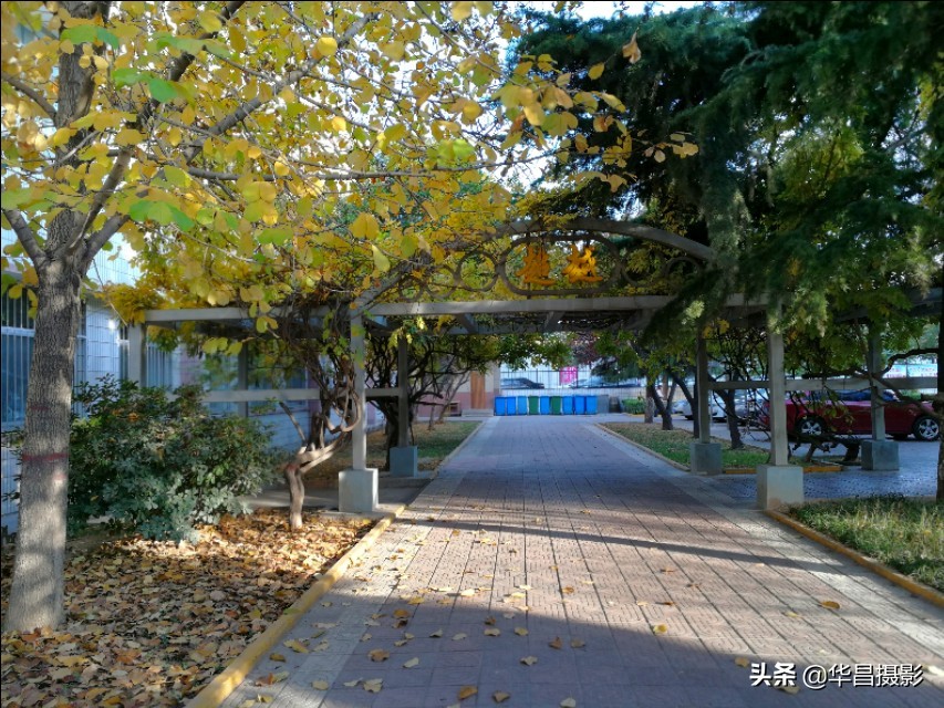 临汾学院：梦幻校园如诗醉人