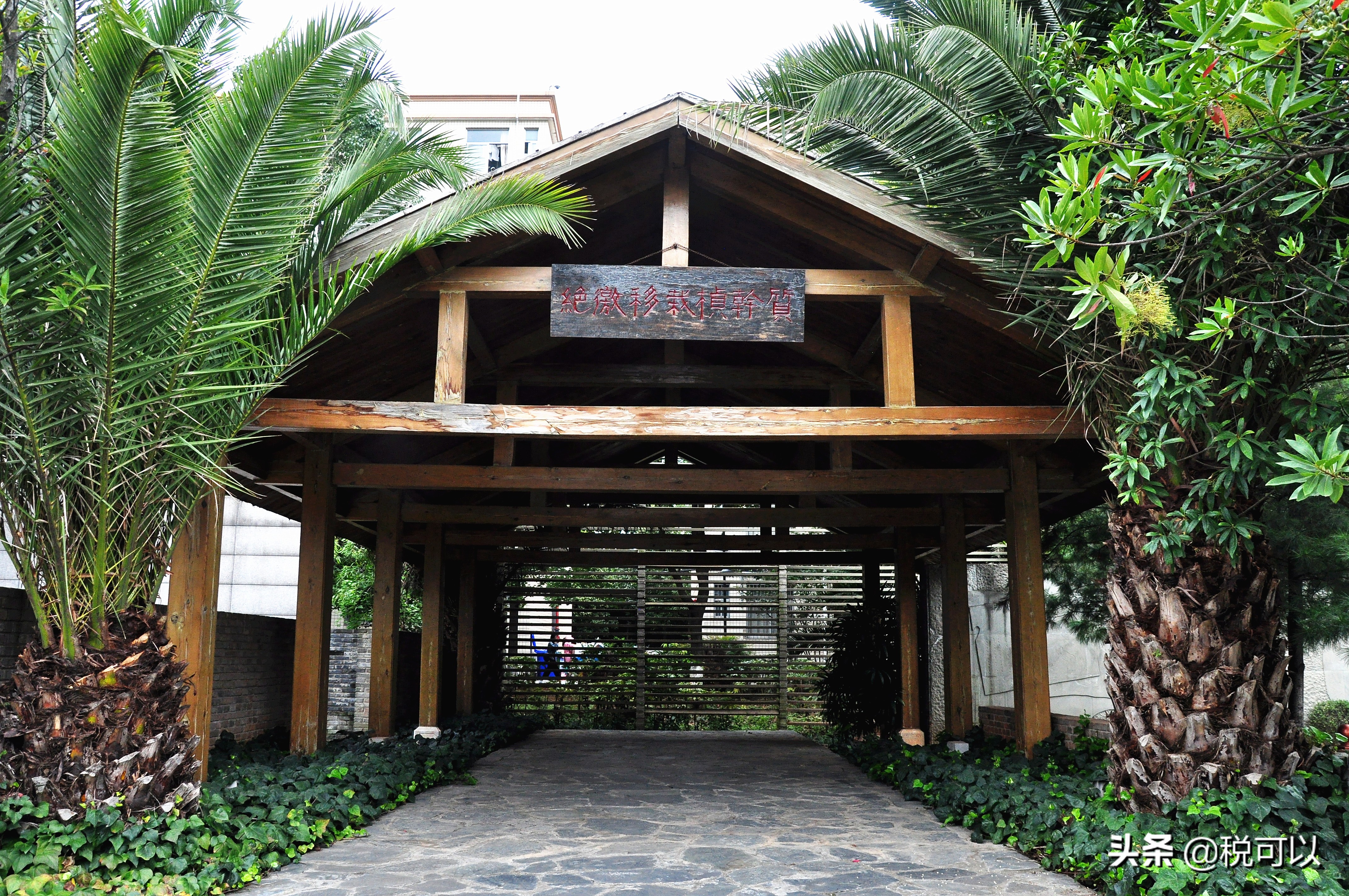 云南师范大学，和80年前的西南联大，到底啥关系？