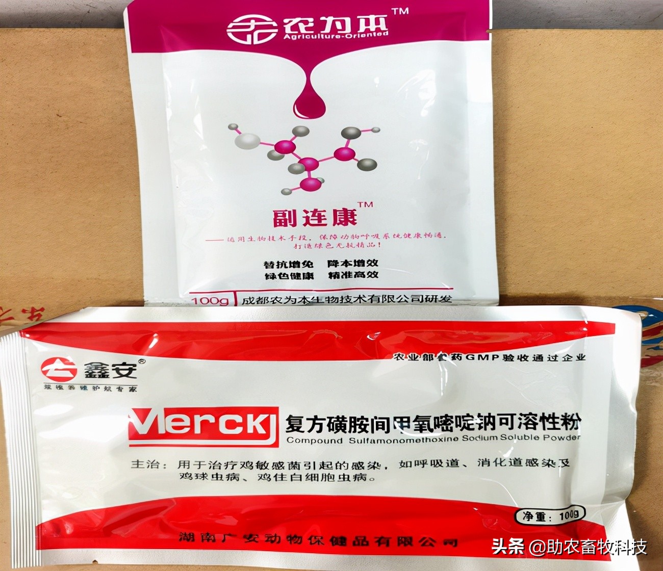 猪场10种常见疾病的症状以及用药防治方案