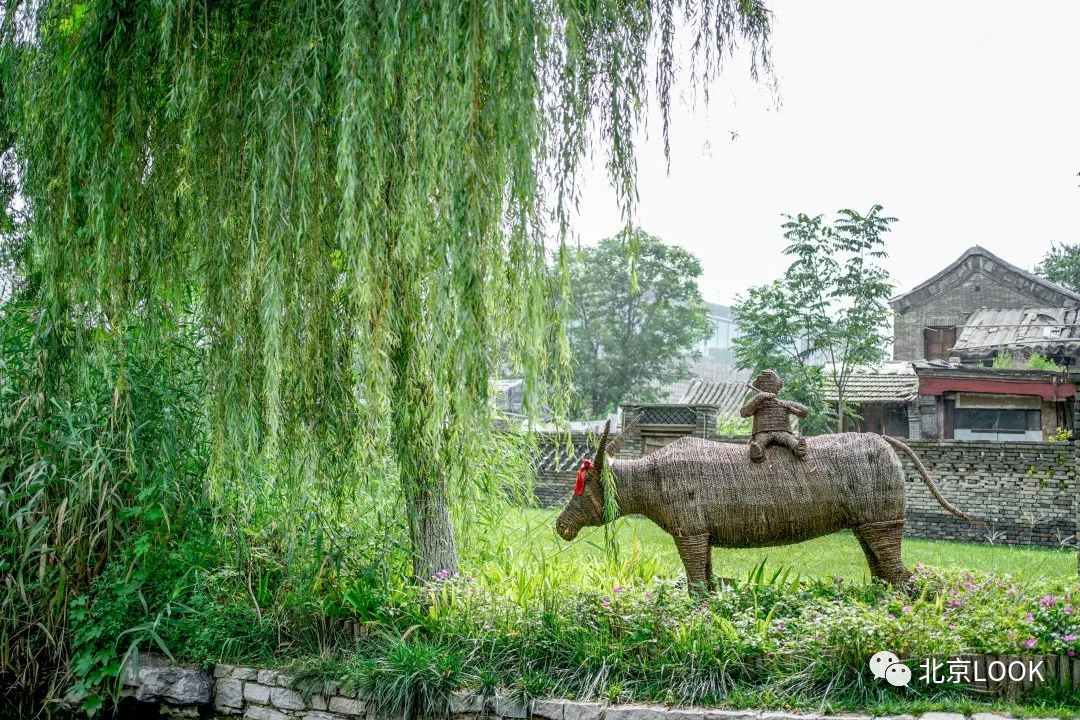 三里河公园北京(北京前门三里河漫游指南)