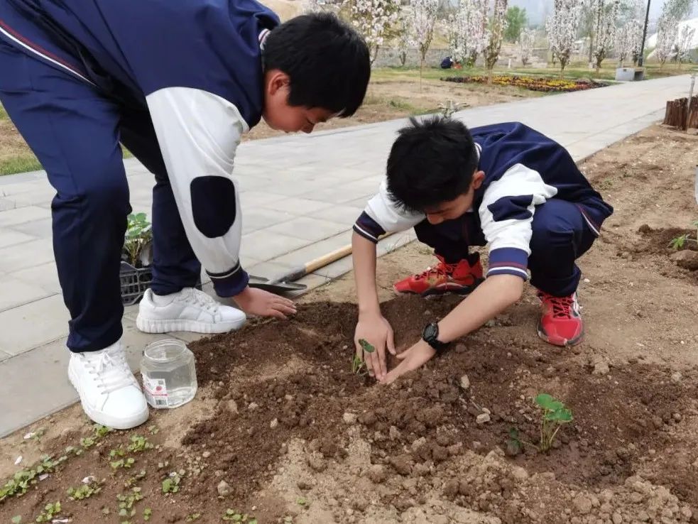 京郊这所学校，真真了不得