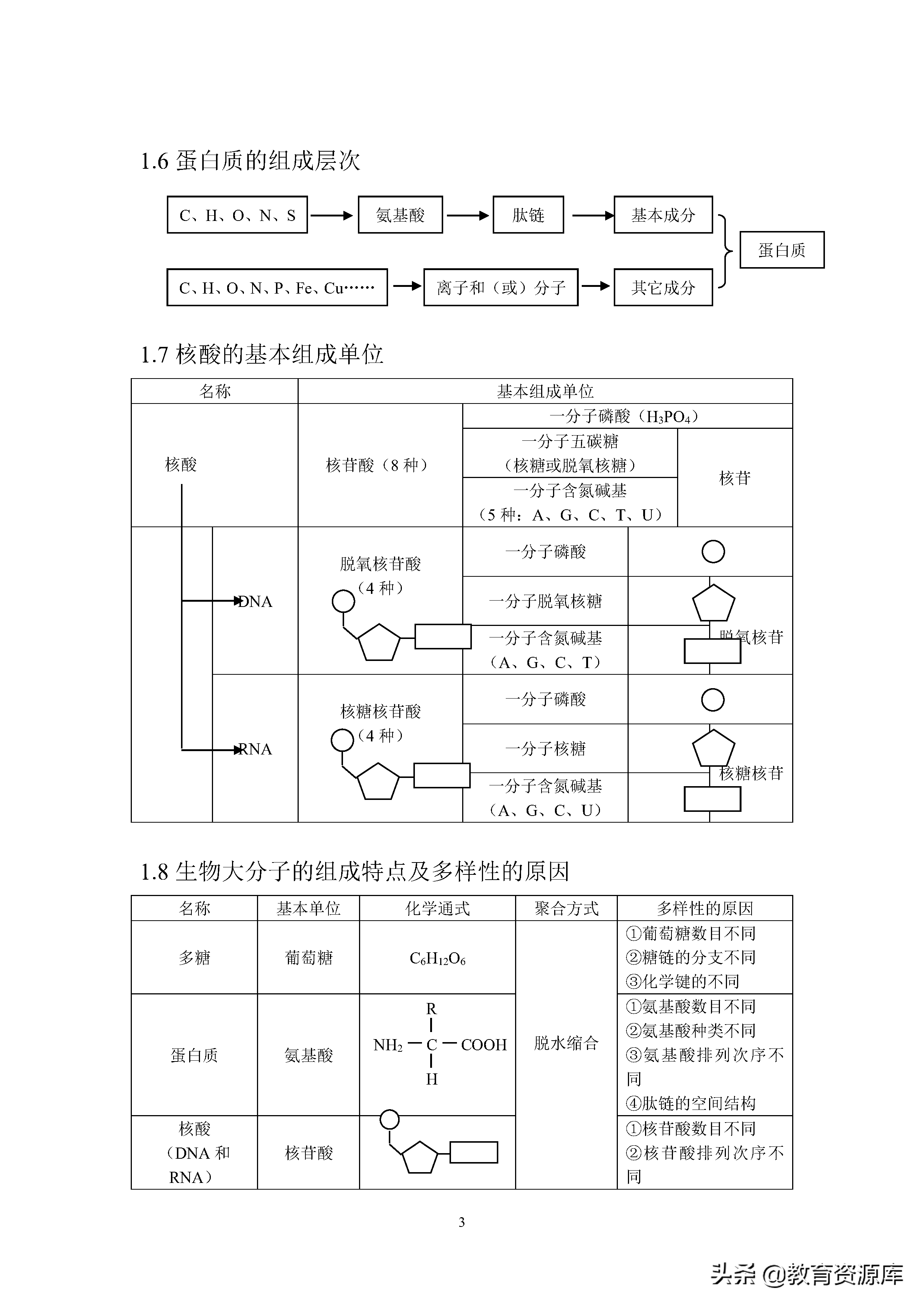高中生物：高考生物必考知识点总结