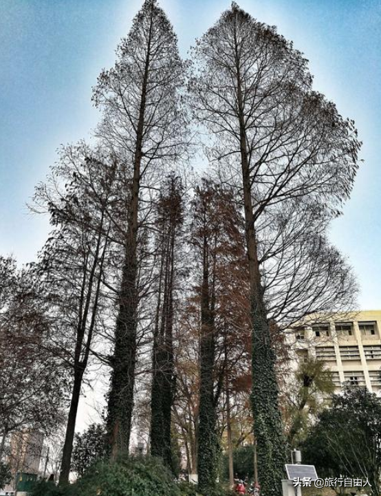 考研初试成绩即将公布，春暖花开之时一起打卡厦门大学