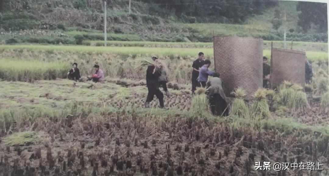 汉中羌族人使用的劳动工具，你认识几个？