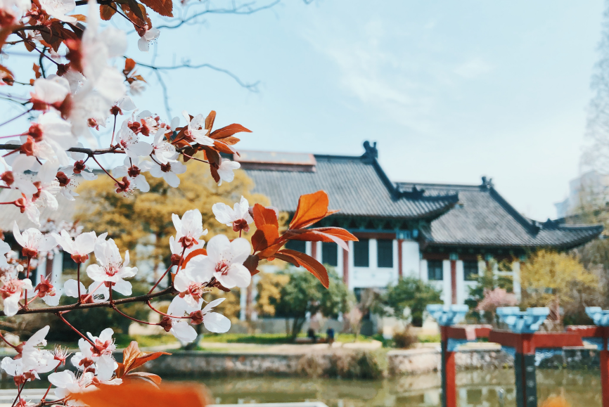 高清大图惊艳来袭！江苏这些“校花”神仙颜值，你Pick哪一个