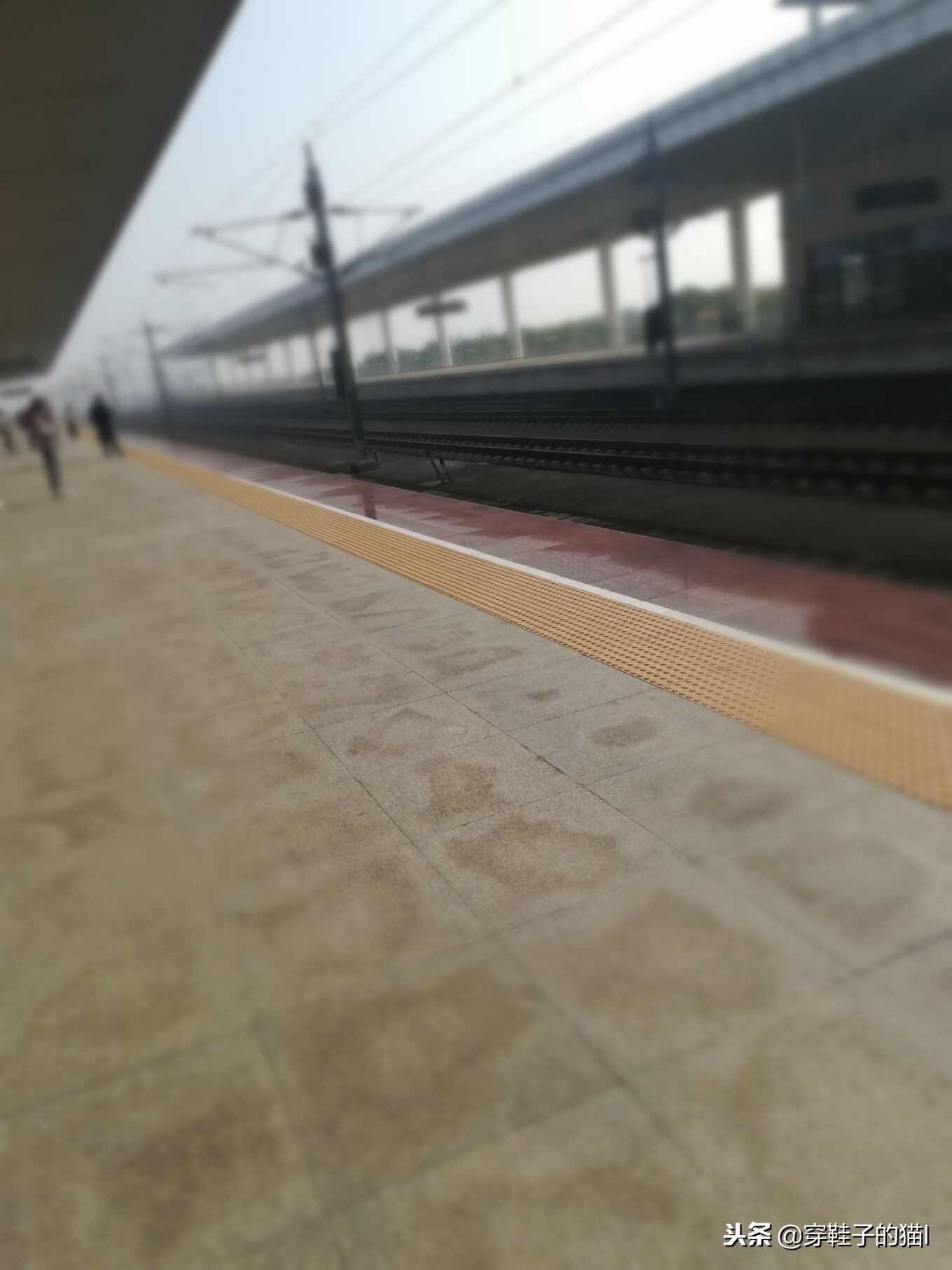ǰ(qian)ʶʲô裨(cong)ǰʶʲôʣ-Ʊ֪ʶѧϰ