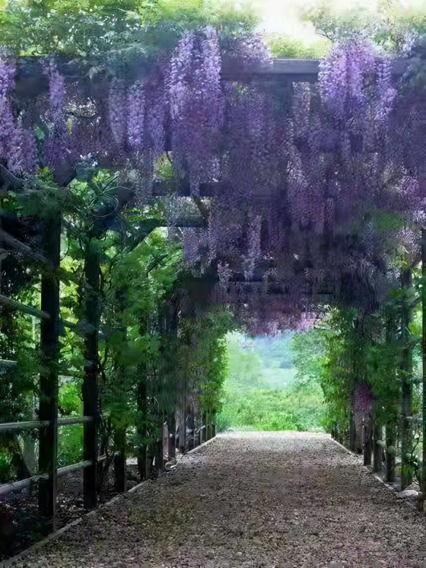 七律·瀑布花