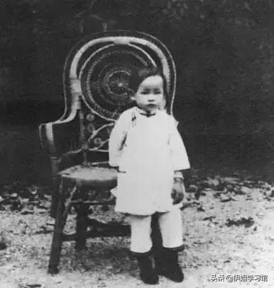 重读梁从诫《我的母亲林徽因》，支持和理解并深深热爱