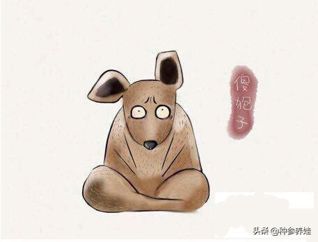 东北方言诙谐幽默,介绍下东北方言的"八大犊子"和"四