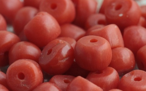 染色海竹仿红珊瑚的鉴定特征(红珊瑚珠子怎么辨别真假) 第8张