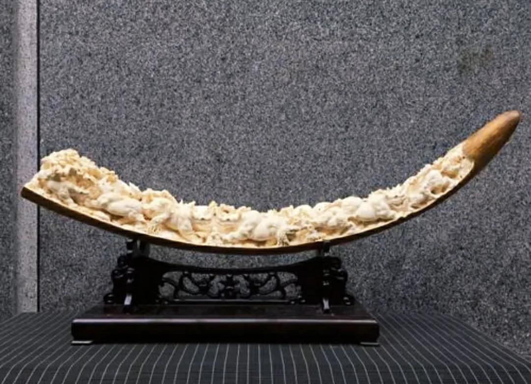 象牙的价格多少钱一克象牙价值诱人