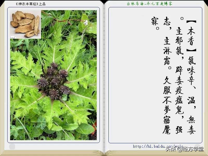 《神农本草经》全册图文解析 建议收藏