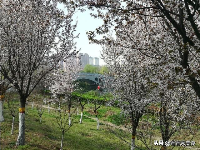 乱花渐欲迷人眼，一日看尽长安花