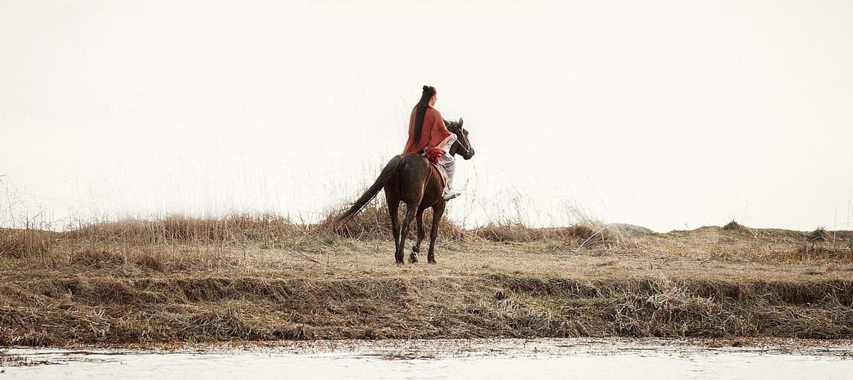 鲜衣怒马诗酒趁年华什么意思诗酒年华鲜衣怒马出自哪里