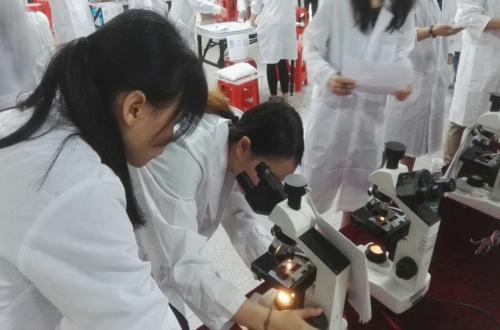 广东科贸职业学院招生计划专业介绍